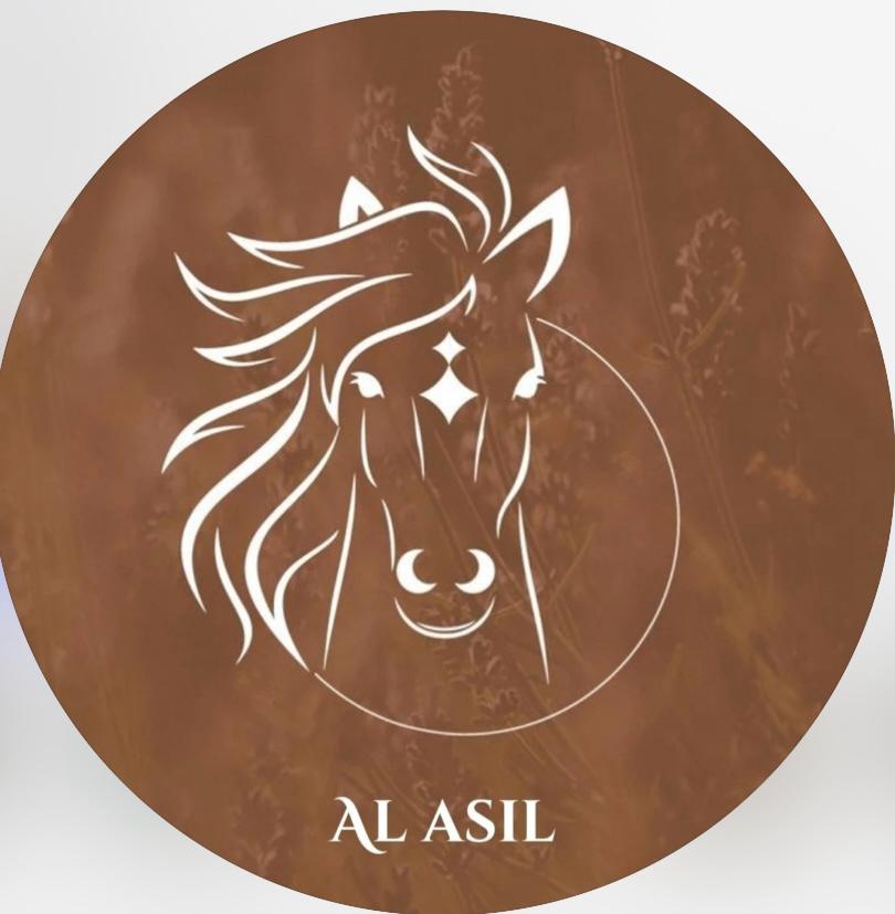 al asil horses