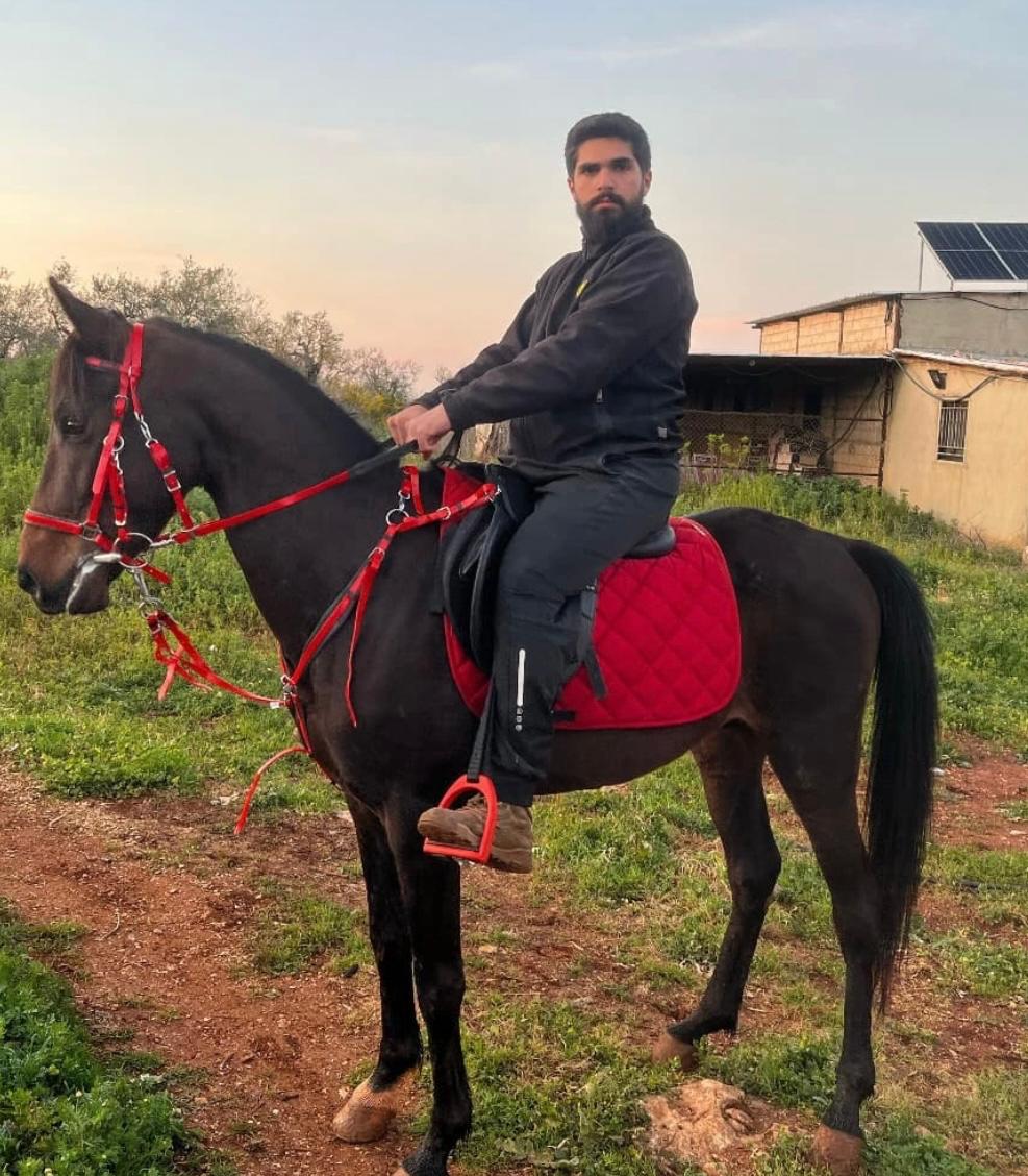 al asil horses