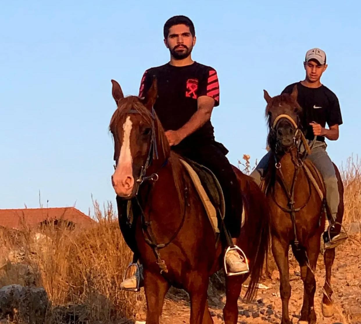 al asil horses