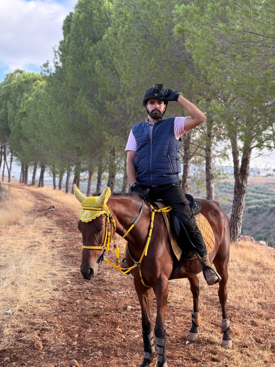 al asil horses